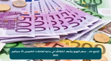تراجع حاد.. سعر اليورو يشهد انخفاضًا في بداية تعاملات الخميس 25 سبتمبر 2025
